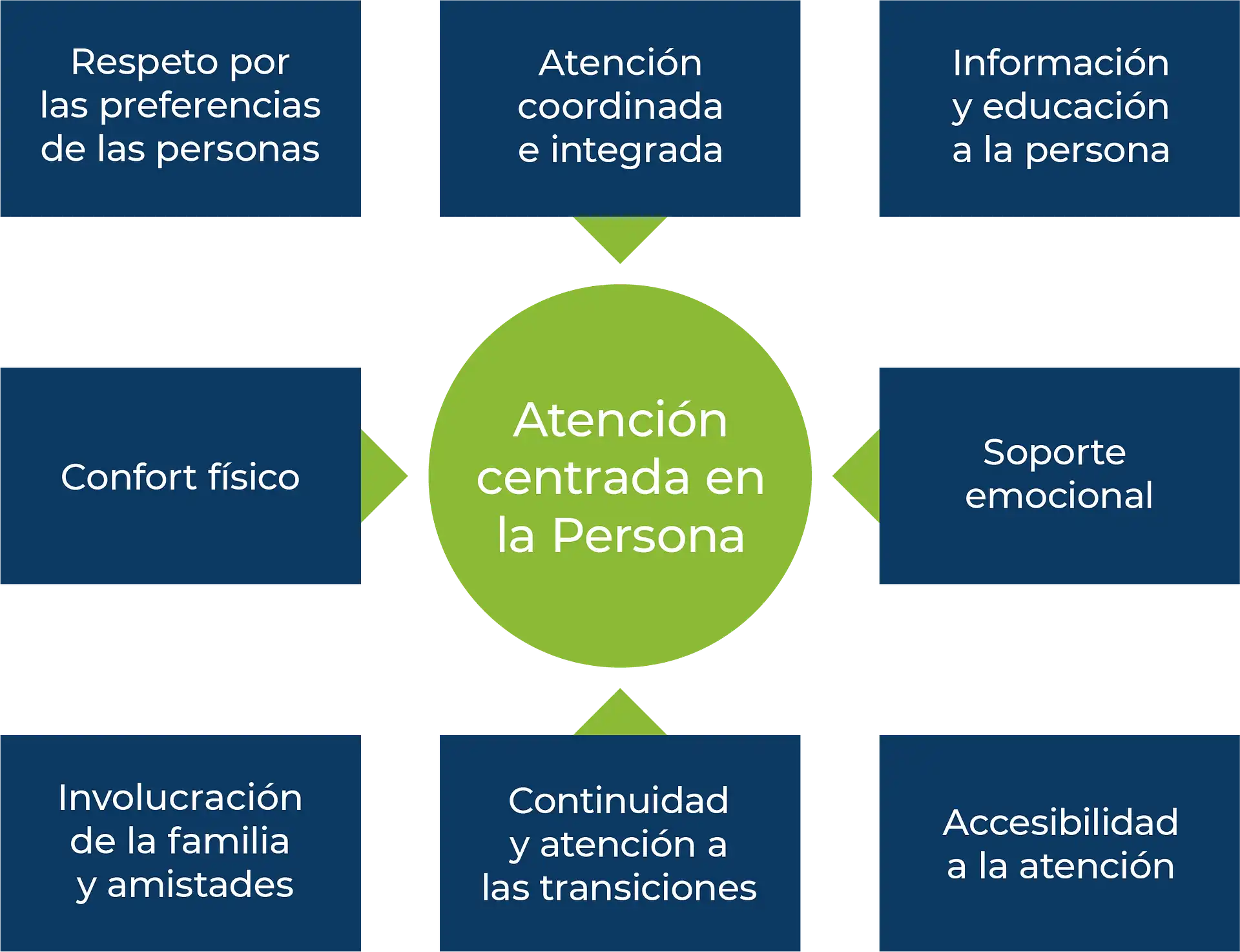 cajas azules con texto sobre la atención centrada en la persona